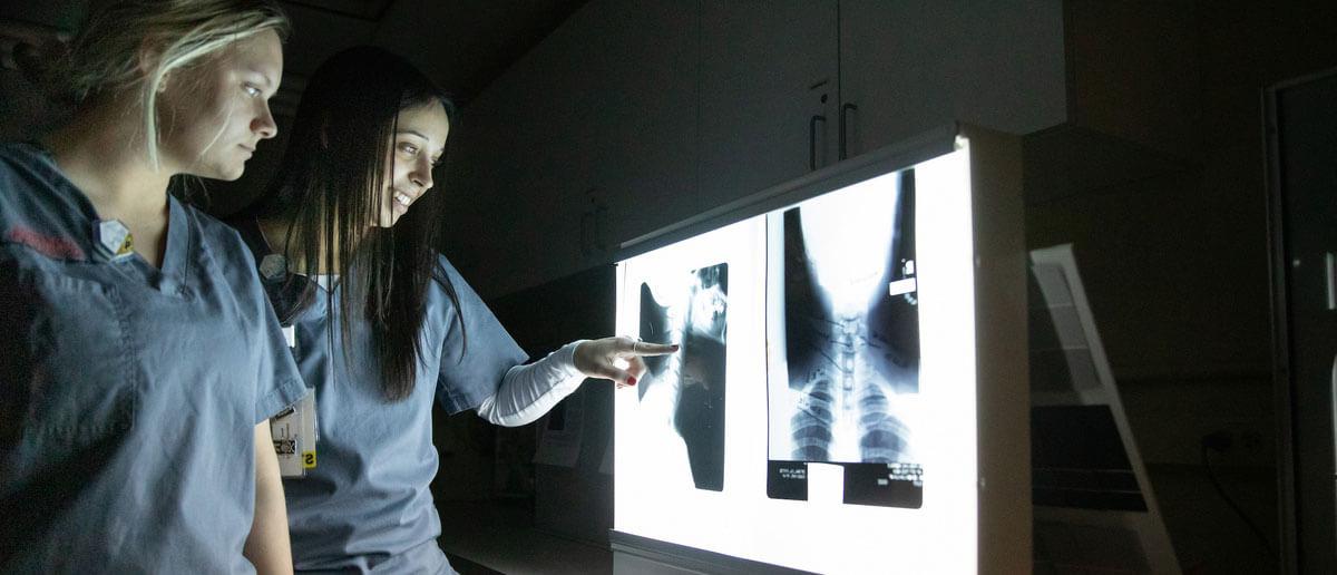 students look at X-rays 